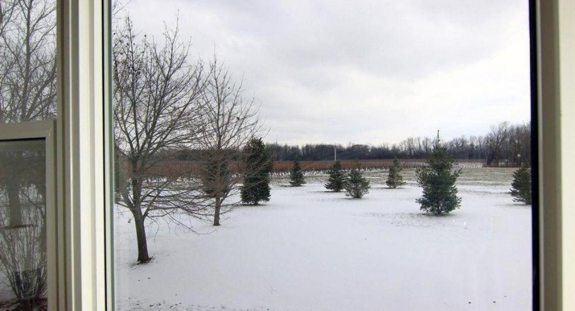 Cobblestone Bed And Breakfast Niagara-on-the-Lake Εξωτερικό φωτογραφία