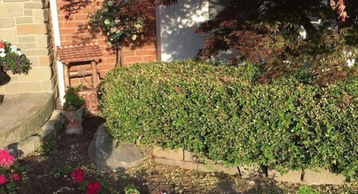 Cobblestone Bed And Breakfast Niagara-on-the-Lake Εξωτερικό φωτογραφία